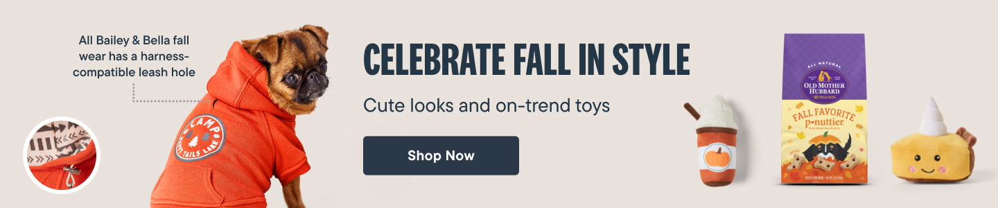 Celebrate Fall In Style with cute looks and on-trend toys - Shop Now