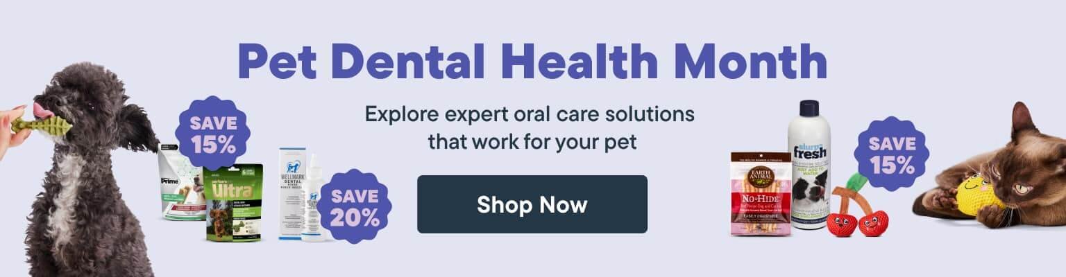 Pet Dental Health Month. Explore expert oral care solutions that work for your pet - Shop Now