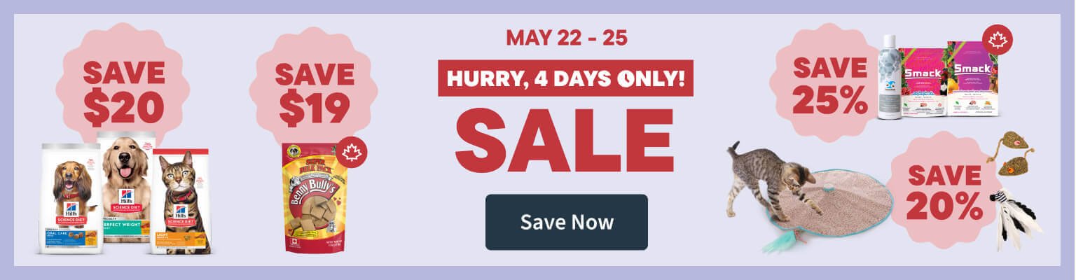 4 Day Sale